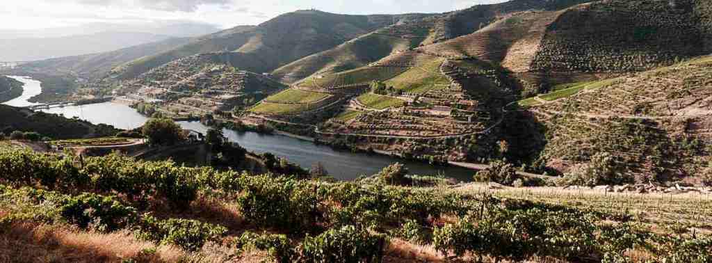 ©Sergio Corona - MAP photographie exposition Bordeaux Cour Mably 2026.